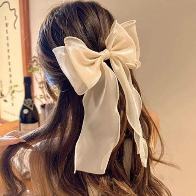 Barrette cheveux fashion pour look quotidien