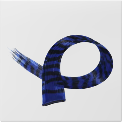 Extension boucles clip à clipser cheveux longs