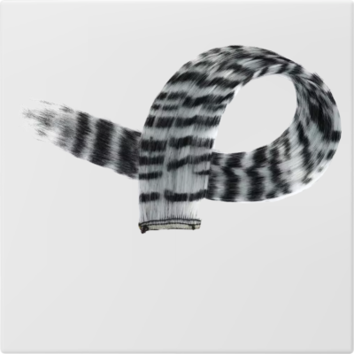 Extension boucles gris argenté sans coloration chimique