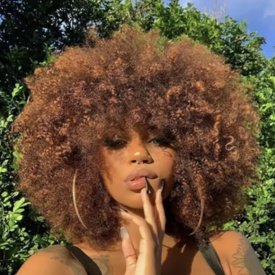 Perruque afro crepus bouclée cheveux humains