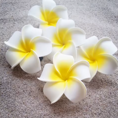 Pince à cheveux fleur accessoire tropical Nova Coiffure